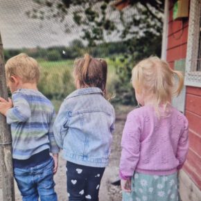 a92fd6a6-19fe-475f-8b3a-95c6608911e4