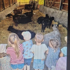 b186c8c9-e168-48a4-b3d9-eb1daa4e859e