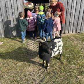 Daniela Golder-Eisenbarth (51)